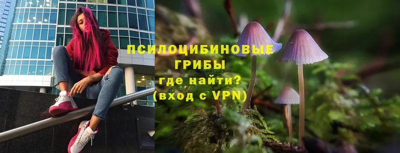 Галлюциногенные грибы MAGIC MUSHROOMS  Белоозёрский 